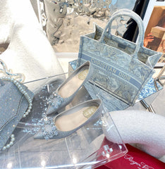 EFFLORESCENCE BALLERINAS IN BEIGE CALFSKIN WITH FULLY EMBELLISHED CRYSTALS