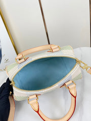 SPEEDY BANDOULIÈRE 20 IN PISTACHIO DAMIER GIANT CANVAS GOLD HARDWARE