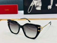 C DE BUTTERFLY FRAME SUNGLASSES 530154 IN METAL AND ACETATE