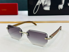 PREMIÈRE RECTANGULAR FRAME SUNGLASSES CT0620S IN METAL AND WOODEN