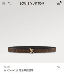 LV ICONIC 25 MM IN BROWN DAMIER CALFSKIN SILVER HARDWARE