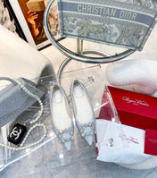 EFFLORESCENCE BALLERINAS IN SILVER CALFSKIN WITH FULLY EMBELLISHED CRYSTALS