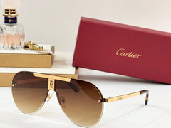 SIGNATURE C DE AVIATOR FRAME SUNGLASSES 524543 IN METAL