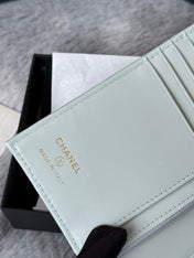 CHANEL 25S MULTI PURPOSE PASSPORT WALLET 15 IN SOFT MINT CALFSKIN GOLD HARDWARE