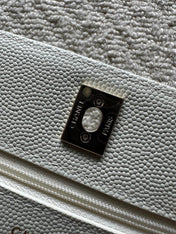 CHANEL 25S MINI FLAP BAG 19 IN WHITE CAVIAR LEATHER