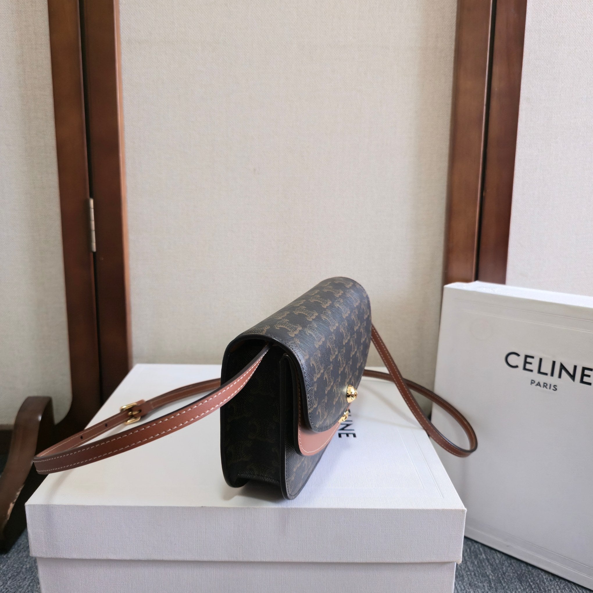 CELINE 25S DUO WALLET ON STRAP 20MM IN TRIOMPHE CANVAS AND CALFSKIN