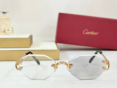 PHOTOCHROMIC LENSES GEOMETRIC FRAME SUNGLASSES CT0581S IN METAL