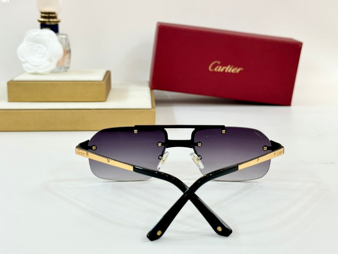 SANTOS RECTANGULAR FRAME SUNGLASSES CT0660S IN METAL