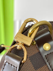 SPEEDY BANDOLIÈRE 25 IN DARK BROWN DAMIER EBENE CANVAS GOLD HARDWARE