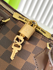 SPEEDY BANDOLIÈRE 25 IN DARK BROWN DAMIER EBENE CANVAS GOLD HARDWARE