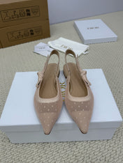 DIOR FLAT SLINGBACK 25S IN NUDE LACE NET FABRIC AND SUEDE
