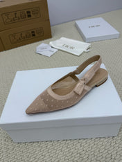 DIOR FLAT SLINGBACK 25S IN NUDE LACE NET FABRIC AND SUEDE