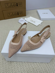 DIOR FLAT SLINGBACK 25S IN NUDE LACE NET FABRIC AND SUEDE