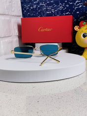 SANTOS RECTANGULAR FRAME SUNGLASSES CT0473S IN METAL