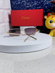 SANTOS RECTANGULAR FRAME SUNGLASSES CT0473S IN METAL