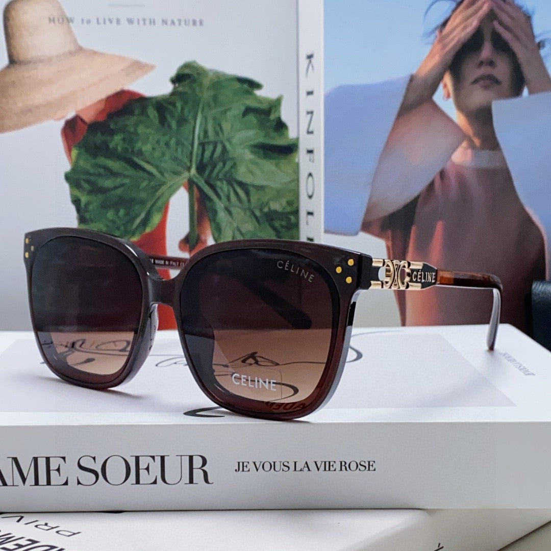 TRIOMPHE SUNGLASSES 573248 IN BROWN ACETATE METAL LOGO