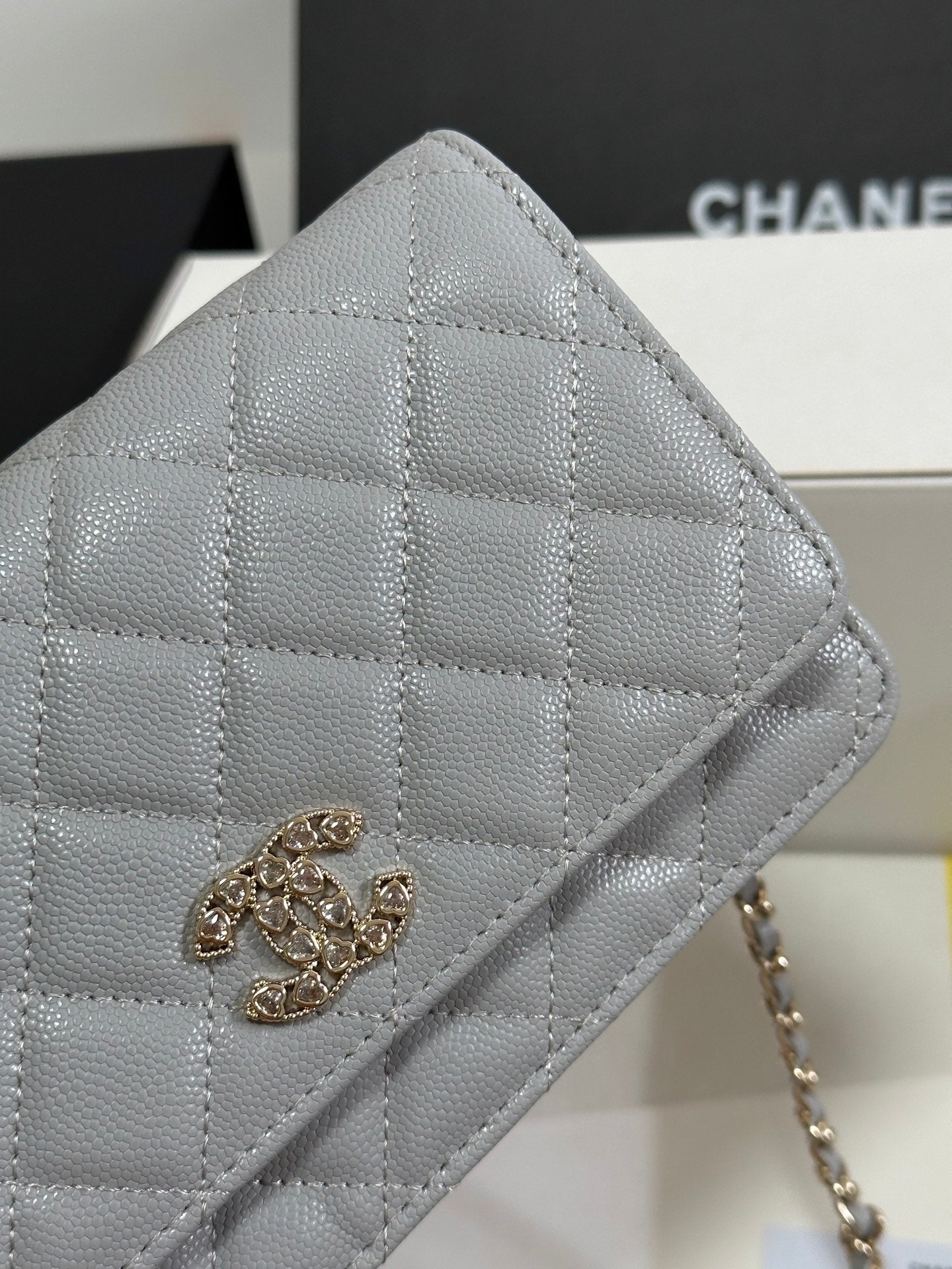 STRASS WOC ENTRUPY BAG 19 IN SPANISH GREY CALFSKIN GOLD HARDWARE