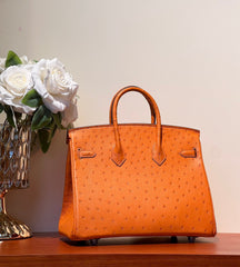 HM BIRKIN 25 BAG IN FIRE ORANGE OSTRICH LEATHER WITH SILVER HARDWARE (MADE-TO-ODER)