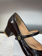 DIOR 25S ROUND-TOE MARY JANE BALLET FLATS IN DARK BROWN CALFSKIN